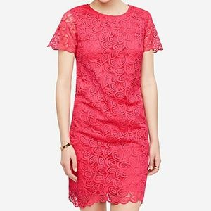 Ann Taylor lace sheath dress size 12 Tall